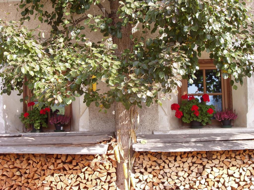 Mansarda Dolomiti Apartment Rasun di Sopra Ngoại thất bức ảnh